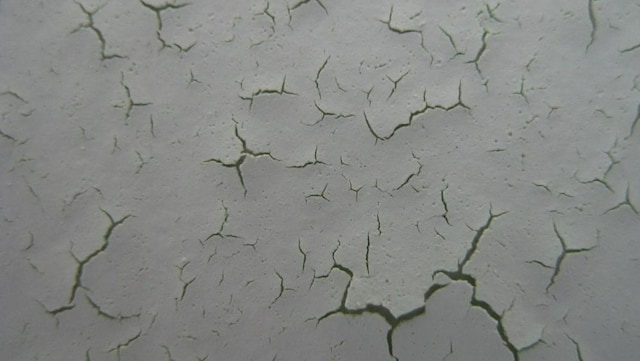 Sự cố nứt màng